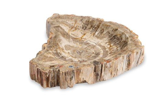 Maitland-Smith Large Brown Petrified Bowl Petrified Wood