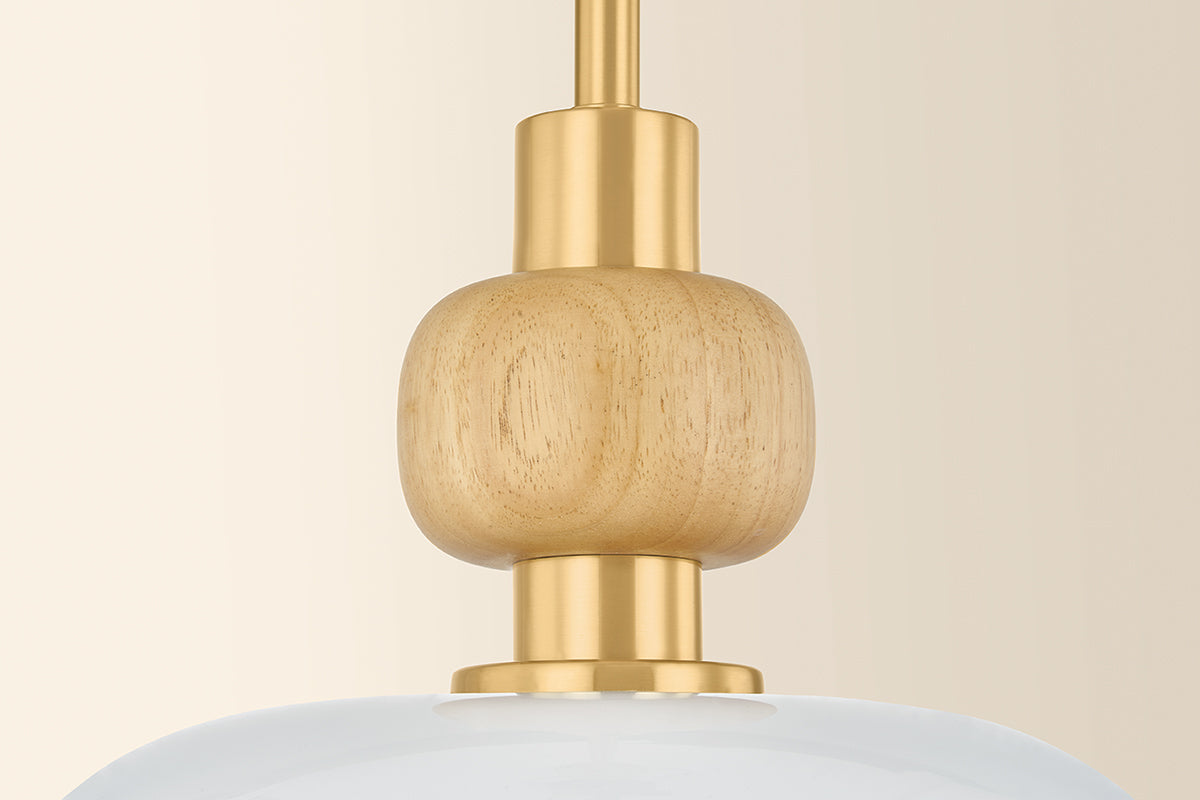 Mitzi by Hudson Valley Lighting Elise Small Pendant in Aged Brass, detail view 2