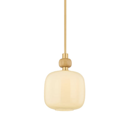 Mitzi by Hudson Valley Lighting Elise Small Pendant in Aged Brass