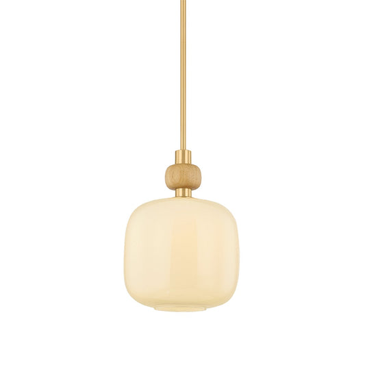Mitzi by Hudson Valley Lighting Elise Small Pendant in Aged Brass