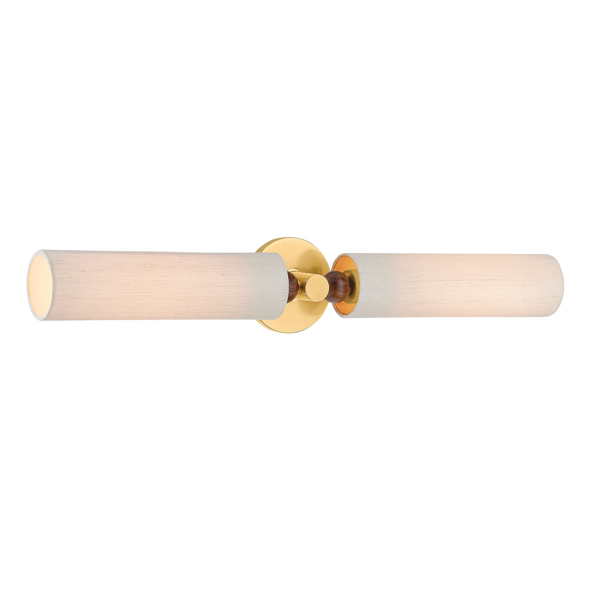 Mitzi by Hudson Valley Lighting Reyn 2-Light Wall Sconce in Aged Brass