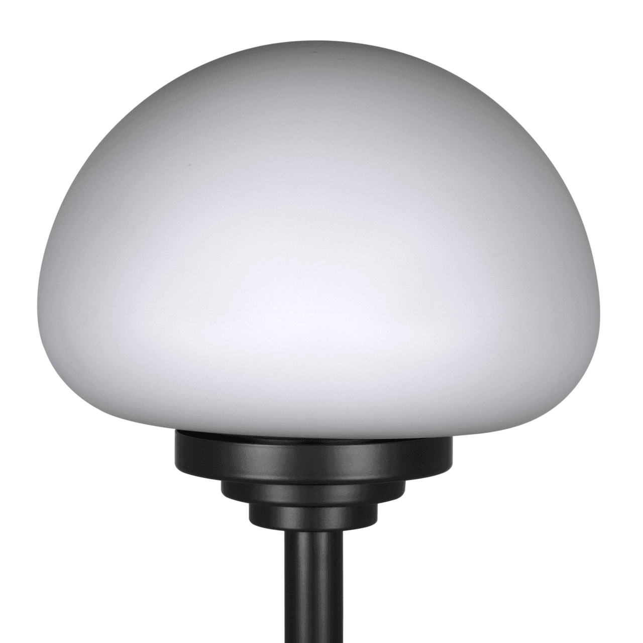 Noir Charlotte Lamp