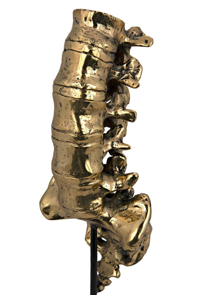 Noir Vertebrae Sculpture