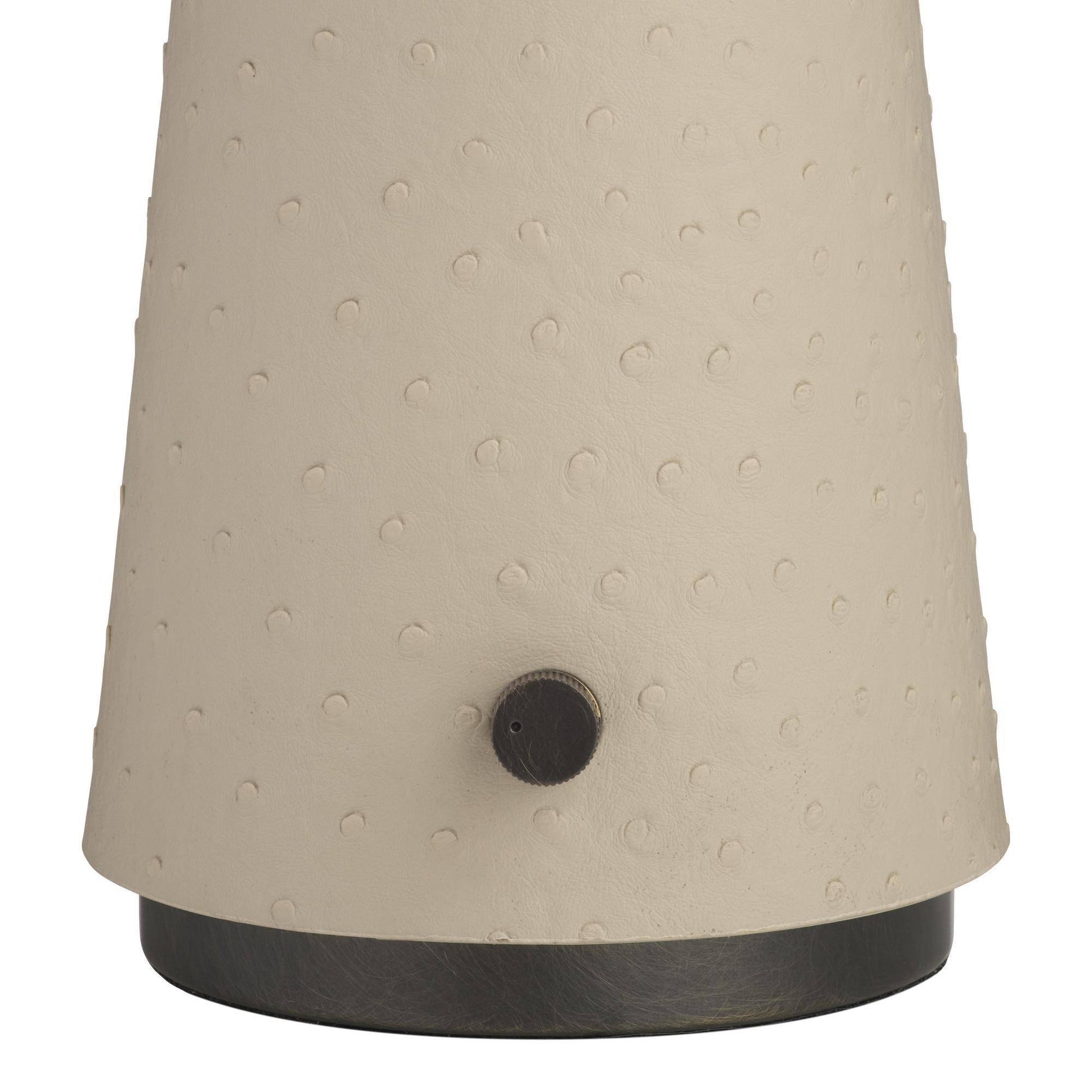 Arteriors Home Struzzo Accent Lamp Ivory