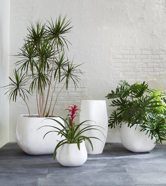 Phillips Collection Amorphous Small Planter White