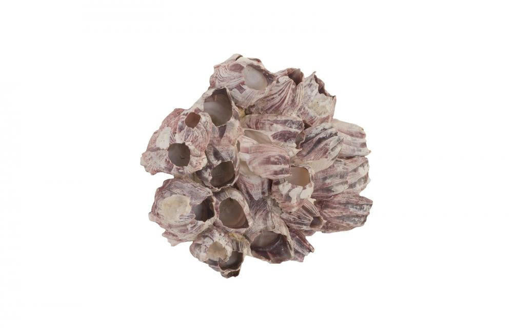 Phillips Collection Barnacle Cluster Wall Sculpture Purple