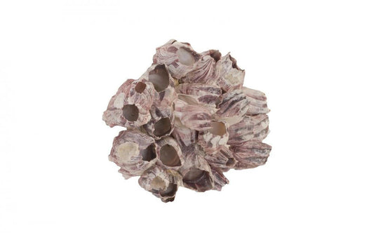 Phillips Collection Barnacle Cluster Wall Sculpture Purple