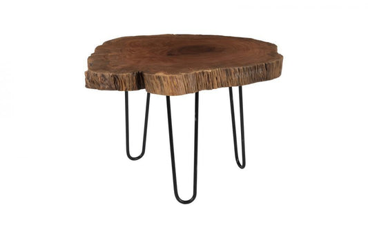 Phillips Collection Burled Coffee Table Wood, Black