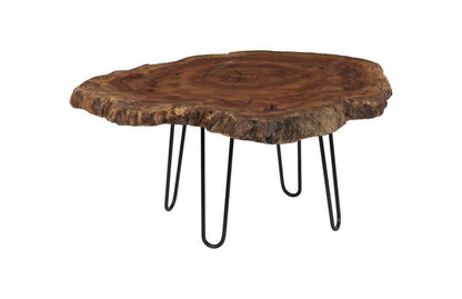 Phillips Collection Burled Coffee Table Wood, Black