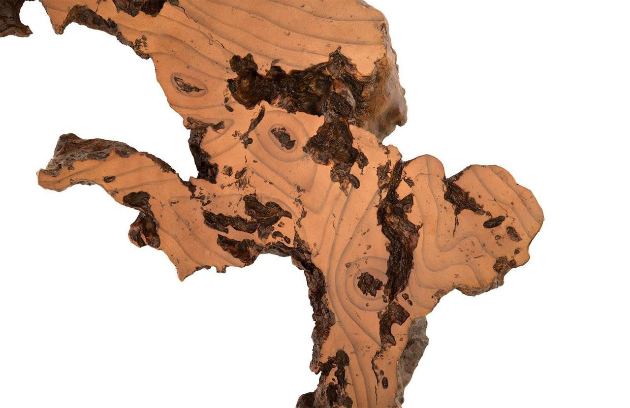 Phillips Collection Burled Medium Wall Art