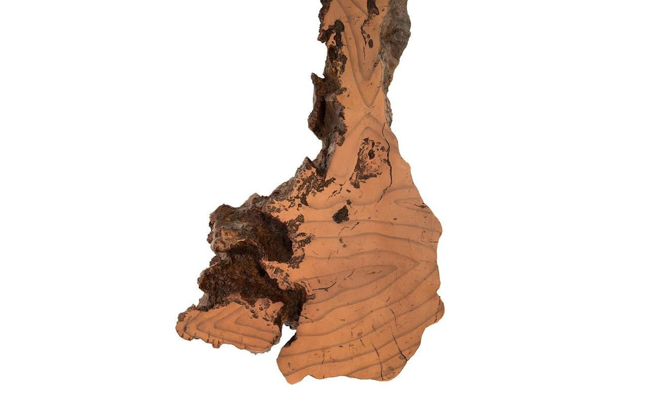Phillips Collection Burled Medium Wall Art