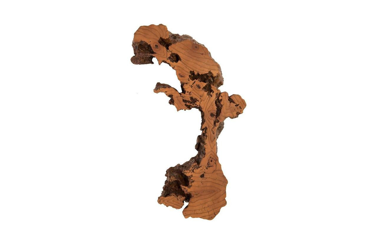 Phillips Collection Burled Small Wall Art Brown