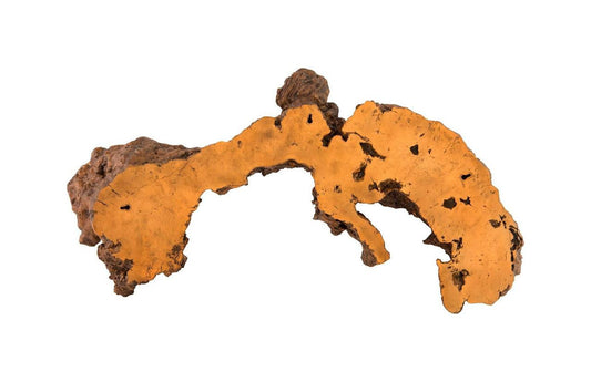 Phillips Collection Burled Root Wall Art Black, Gold Leaf