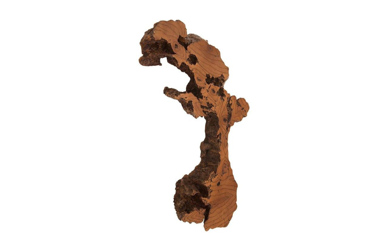 Phillips Collection Burled Root Wall Art Silver Leaf