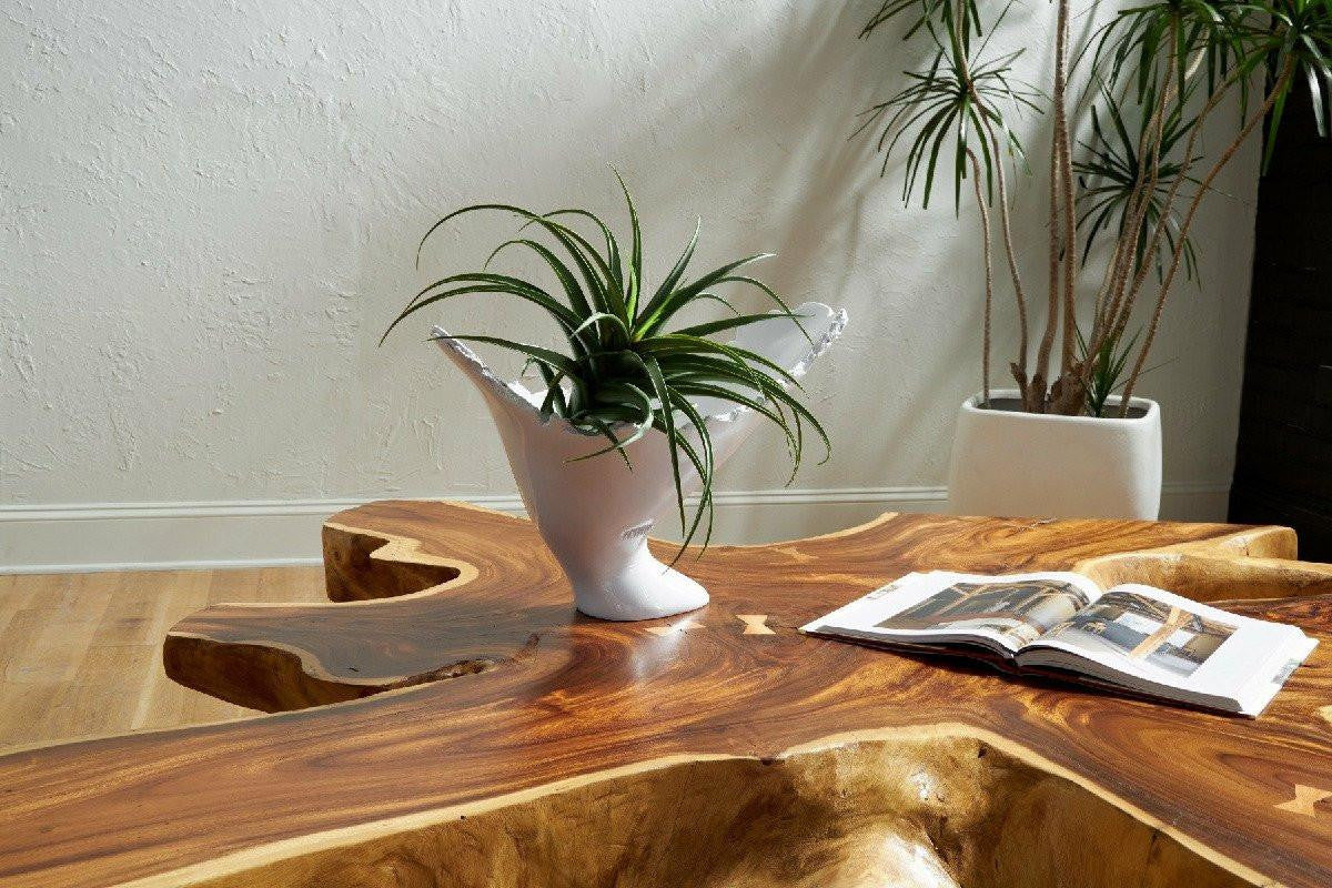 Phillips Collection Burled Vase, Glossy White, 14"H (PH63144 YV0J07T43E)