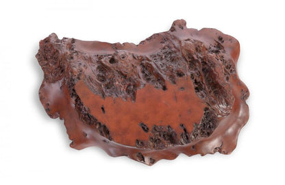 Phillips Collection Burled Wall Sculpture, Brown, 28"W (PH67545 YV0J07T43F)