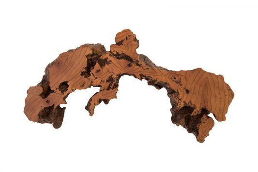 Phillips Collection Burled Medium Wall Art Brown
