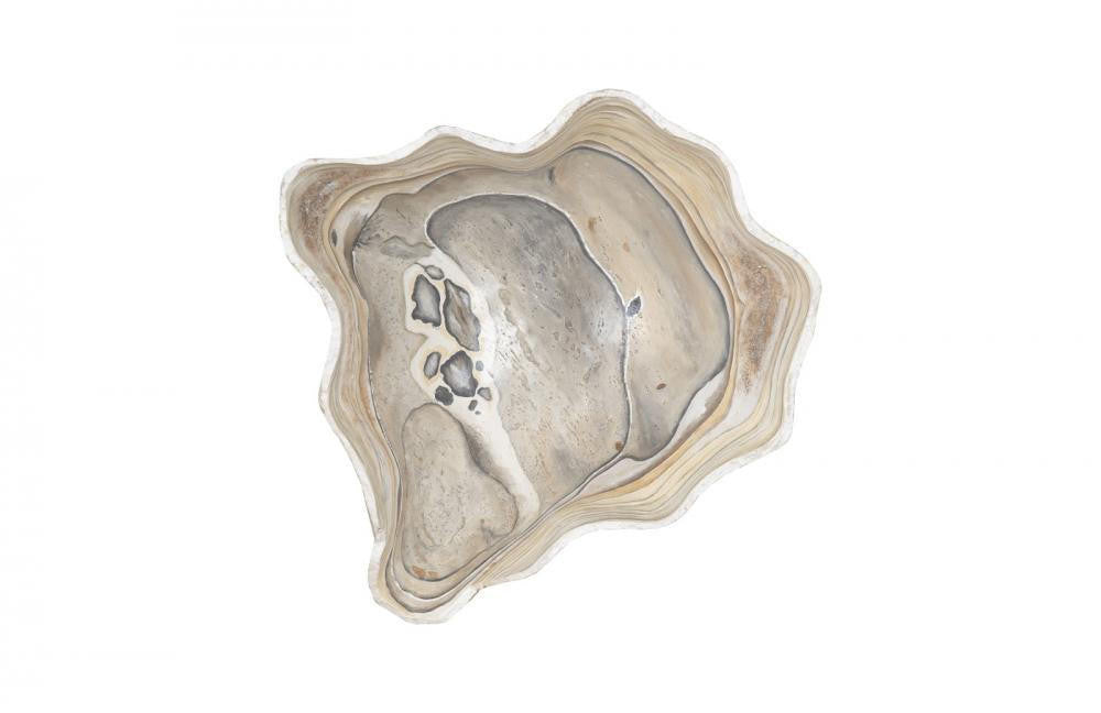Phillips Collection Cast Bowl Wall Sculpture Natural