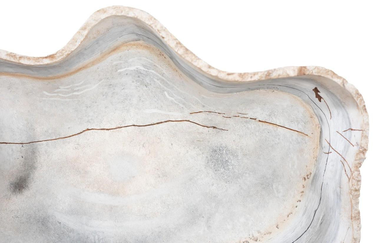 Phillips Collection Cast Bowl Wall Sculpture, Small, Natural, 18"W (PH105280 YV0J07T52Y)