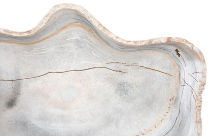 Phillips Collection Cast Bowl Wall Sculpture, Small, Natural, 18"W (PH105280 YV0J07T52Y)