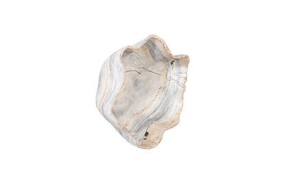 Phillips Collection Cast Bowl Wall Sculpture, Small, Natural, 18"W (PH105280 YV0J07T52Y)