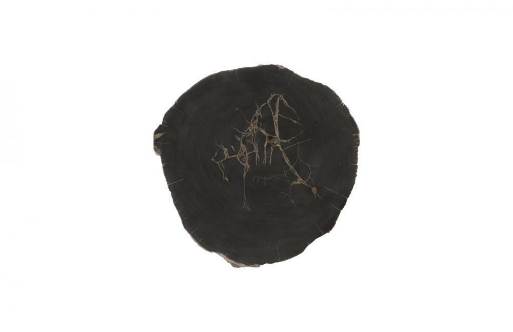 Phillips Collection Cast Petrified Wood Round Wall Tile Black
