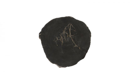Phillips Collection Cast Petrified Wood Round Wall Tile Black