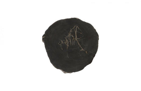 Phillips Collection Cast Petrified Wood Round Wall Tile Black