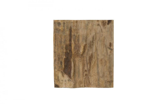 Phillips Collection Cast Petrified Wood Square Wall Tile Brown