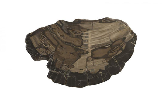 Phillips Collection Cast Petrified Wood Irregular Wall Tile Brown