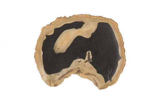 Phillips Collection Cast Petrified Wood Irregular Wall Tile Black, Natural