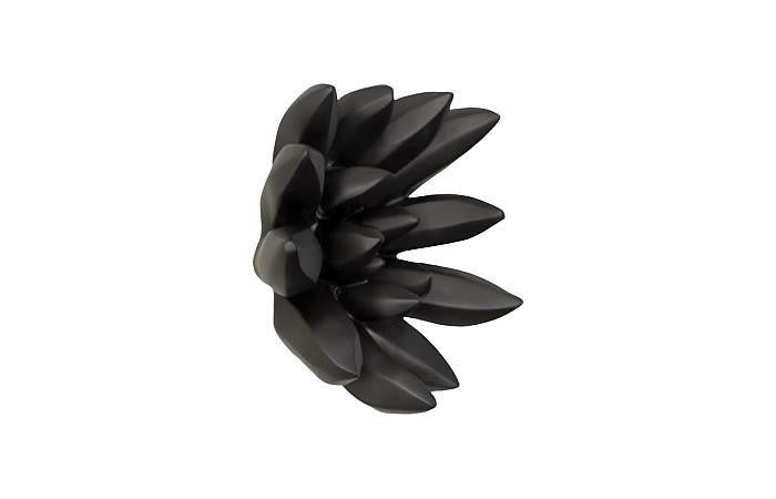 Phillips Collection Compactum Succulent Wall Sculpture, Black, 9"W (PH111560 YV0J07T617)