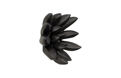 Phillips Collection Compactum Succulent Wall Sculpture, Black, 9"W (PH111560 YV0J07T617)