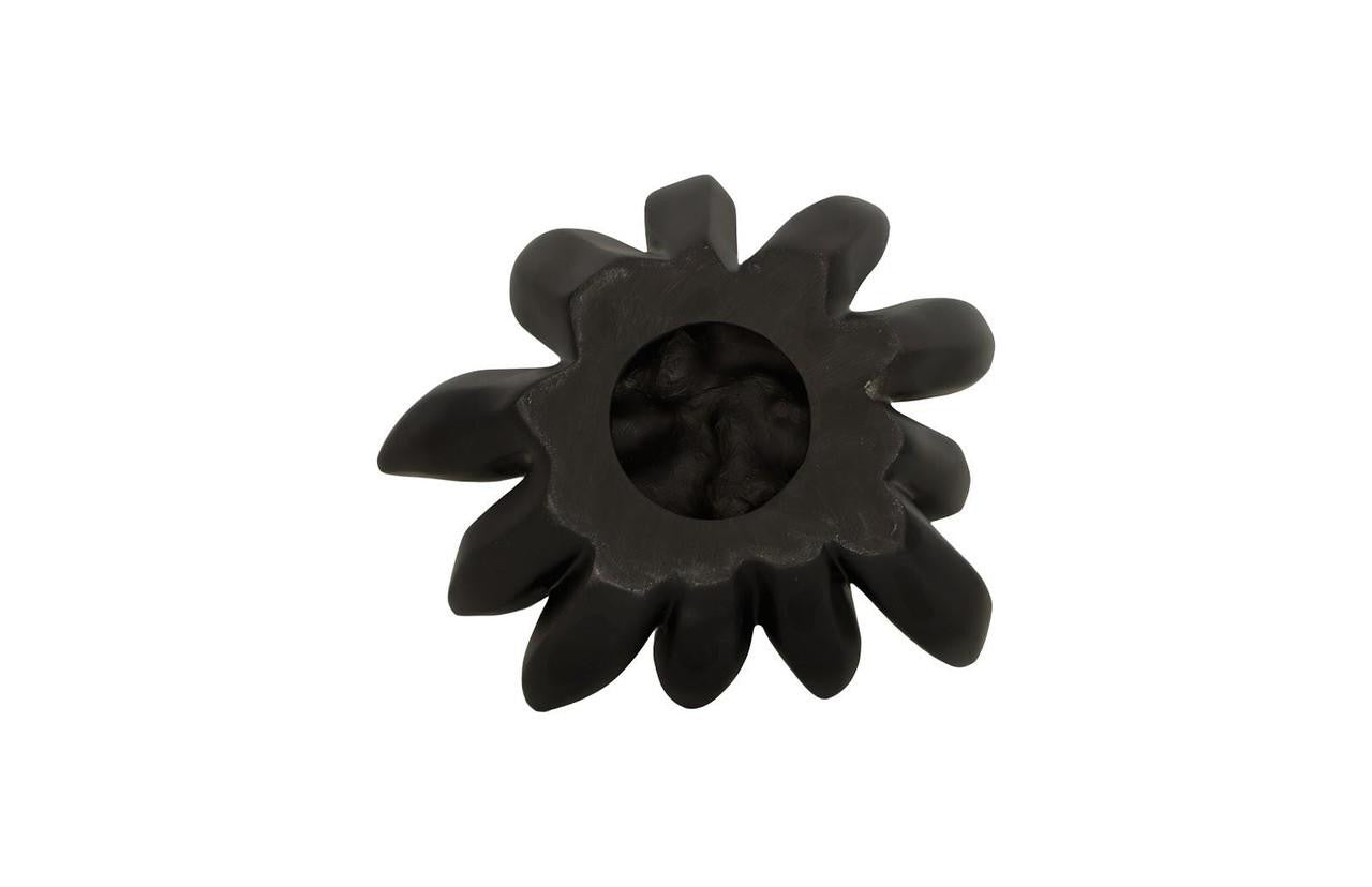 Phillips Collection Compactum Succulent Wall Sculpture, Black, 9"W (PH111560 YV0J07T617)