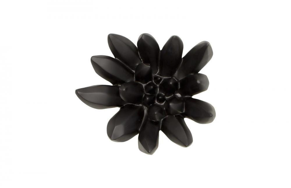 Phillips Collection Compactum Succulent Wall Sculpture, Black, 9"W (PH111560 YV0J07T617)