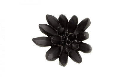 Phillips Collection Compactum Succulent Wall Sculpture, Black, 9"W (PH111560 YV0J07T617)
