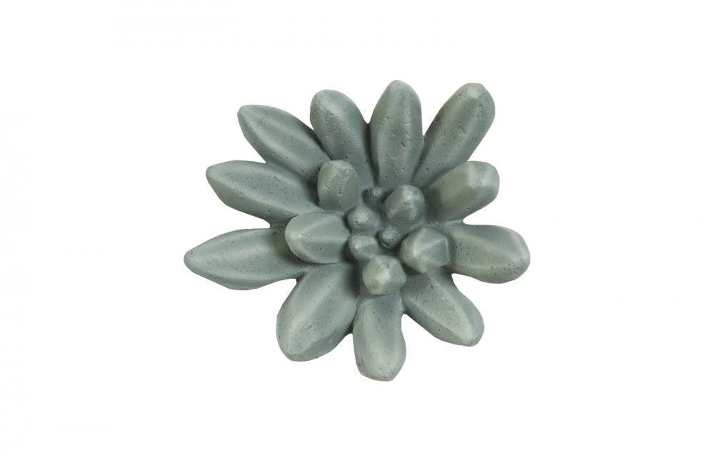 Phillips Collection Compactum Succulent Wall Art Green