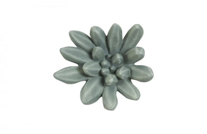 Phillips Collection Compactum Succulent Wall Art Green