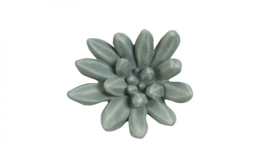 Phillips Collection Compactum Succulent Wall Art Green