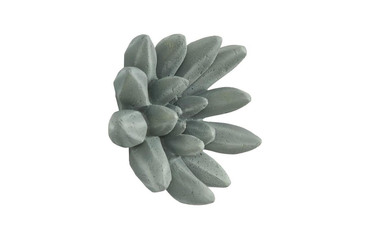 Phillips Collection Compactum Succulent Wall Art Black