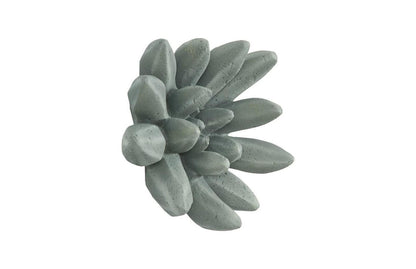 Phillips Collection Compactum Succulent Wall Art Black