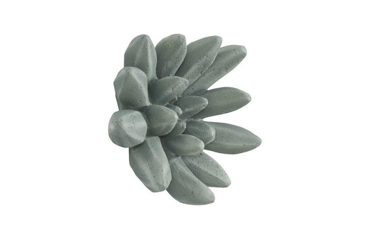 Phillips Collection Compactum Succulent Wall Art Black