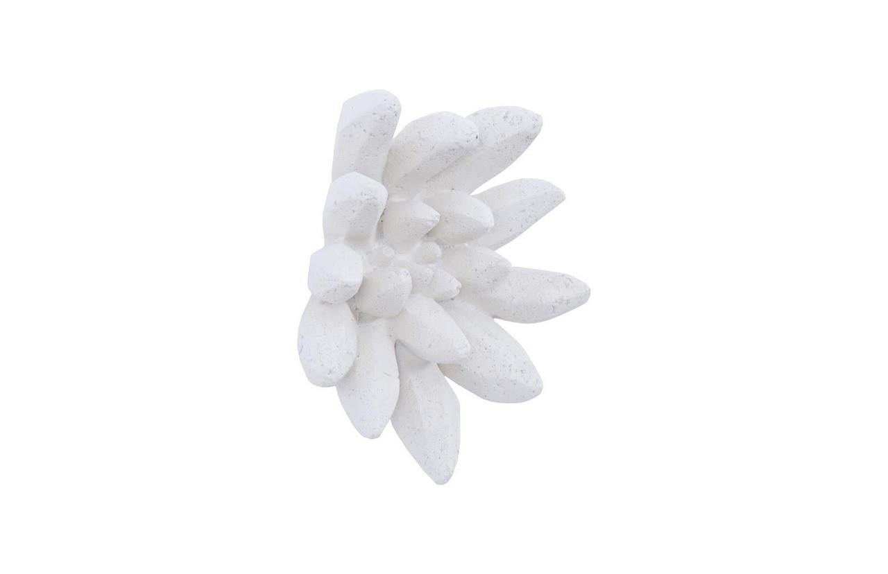 Phillips Collection Compactum Succulent Wall Sculpture, White, 9"W (PH104156 YV0J07T618)