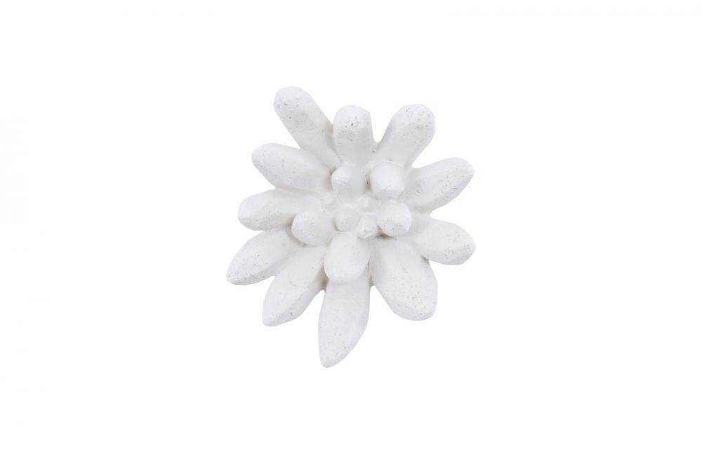 Phillips Collection Compactum Succulent Wall Sculpture, White, 9"W (PH104156 YV0J07T618)