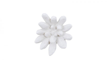 Phillips Collection Compactum Succulent Wall Sculpture, White, 9"W (PH104156 YV0J07T618)