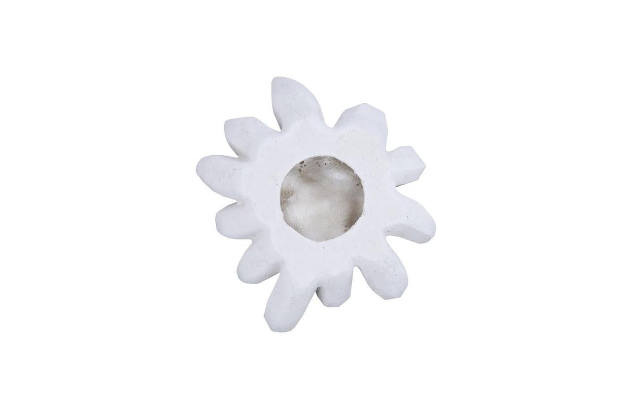 Phillips Collection Compactum Succulent Wall Sculpture, White, 9"W (PH104156 YV0J07T618)
