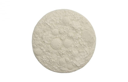 Phillips Collection Coral Reef Round Wall Art Ivory