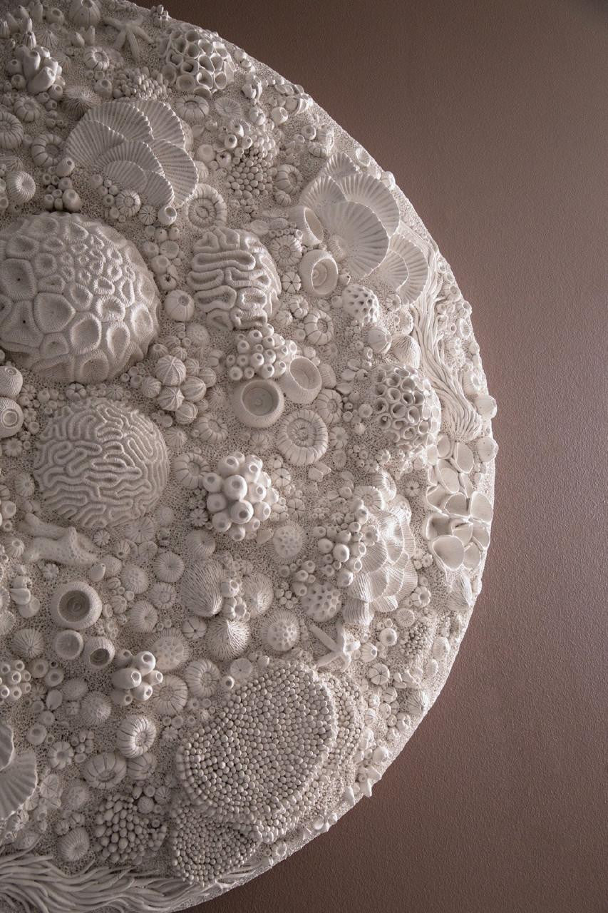 Phillips Collection Coral Reef Wall Art, Round, Ivory, 48"W (PH112039 YV0J07T61H)