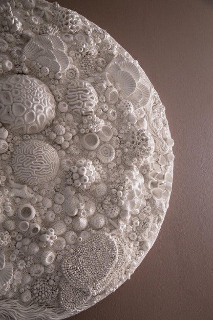 Phillips Collection Coral Reef Wall Art, Round, Ivory, 48"W (PH112039 YV0J07T61H)