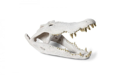 Phillips Collection Crocodile Skull Sculpture Off-White, Gold Leaf